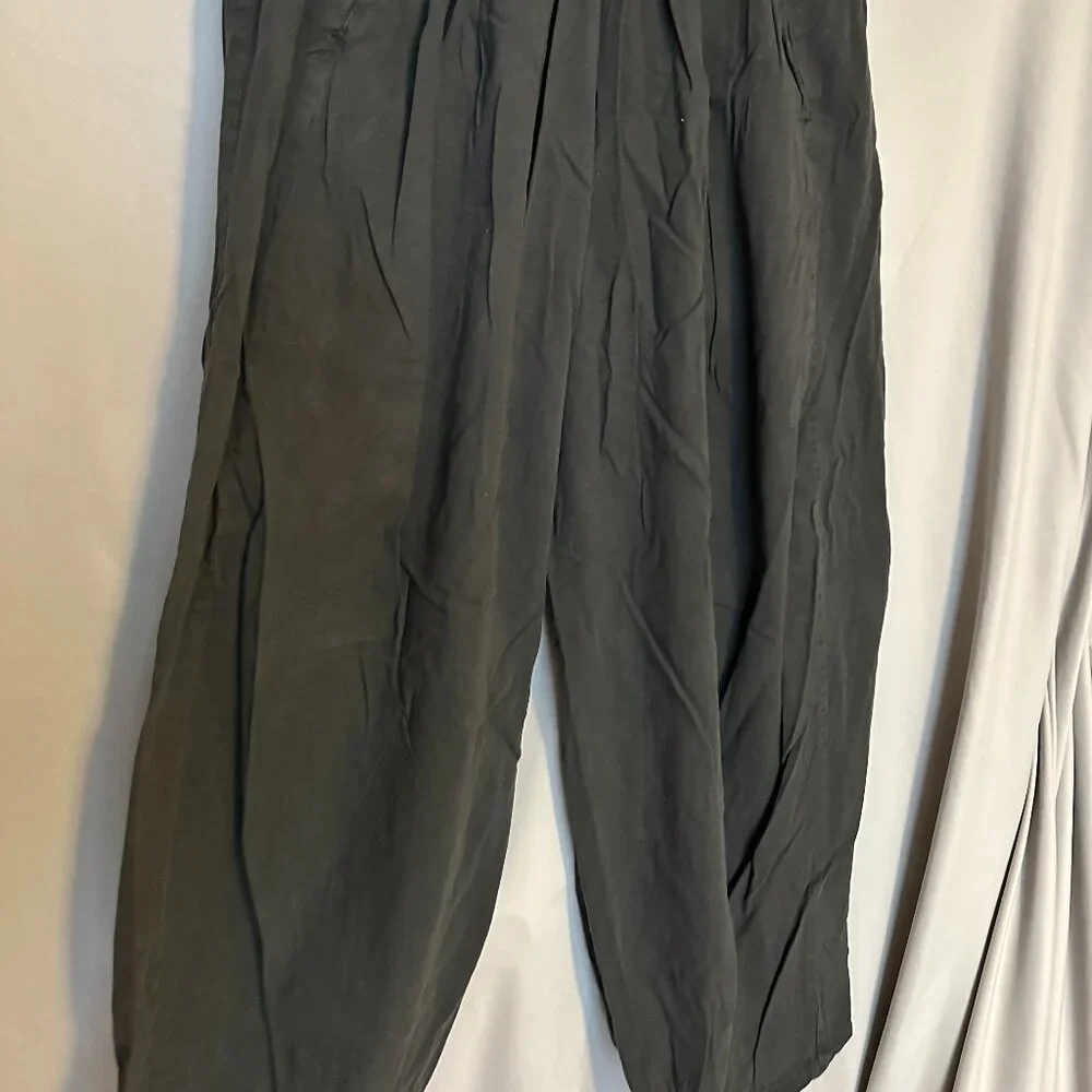 Free People Baggy Pants - Picture 2 of 3